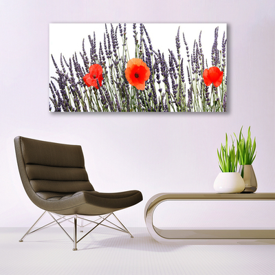 Quadro in vetro Fiori Papaveri Campo di erba