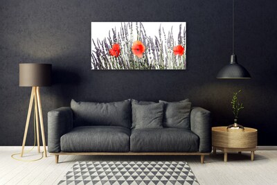 Quadro in vetro Fiori Papaveri Campo di erba