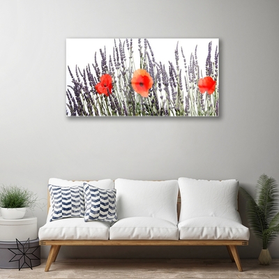 Quadro in vetro Fiori Papaveri Campo di erba