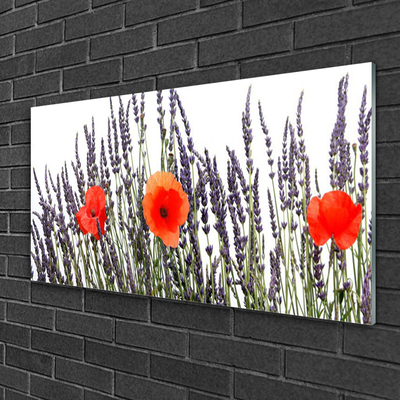 Quadro in vetro Fiori Papaveri Campo di erba