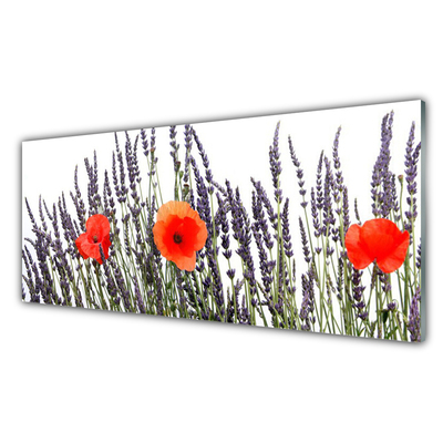 Quadro in vetro Fiori Papaveri Campo di erba