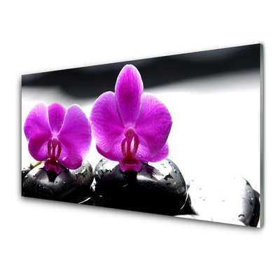 Quadro su vetro Fiori Orchidea Natura