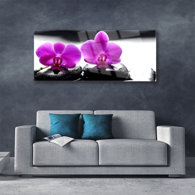 Quadro su vetro Fiori Orchidea Natura