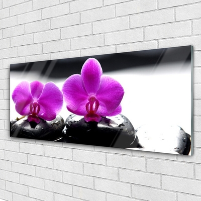 Quadro su vetro Fiori Orchidea Natura