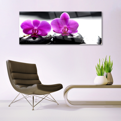 Quadro su vetro Fiori Orchidea Natura