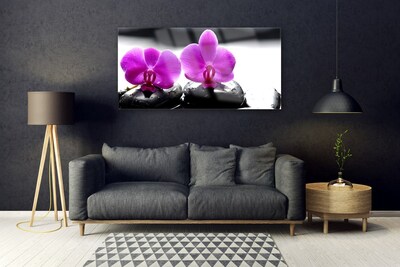 Quadro su vetro Fiori Orchidea Natura