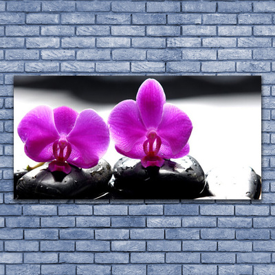 Quadro su vetro Fiori Orchidea Natura