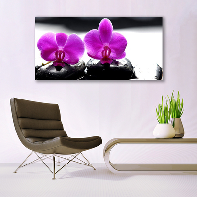 Quadro su vetro Fiori Orchidea Natura