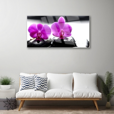 Quadro su vetro Fiori Orchidea Natura