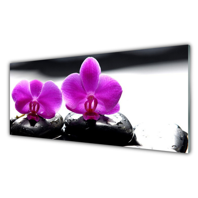 Quadro su vetro Fiori Orchidea Natura