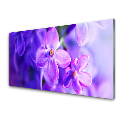 Quadro di vetro Natura Fiori viola