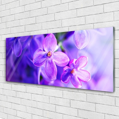 Quadro di vetro Natura Fiori viola