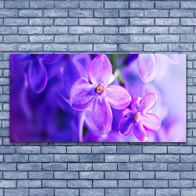 Quadro di vetro Natura Fiori viola