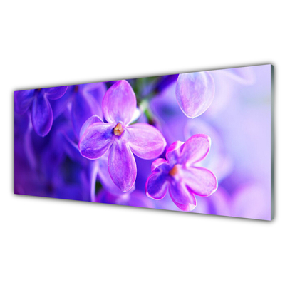 Quadro di vetro Natura Fiori viola