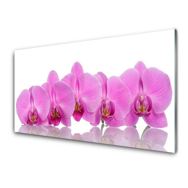 Quadro in vetro Fiori di orchidea rosa