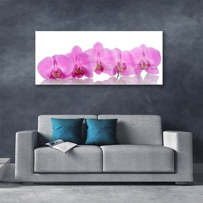 Quadro in vetro Fiori di orchidea rosa