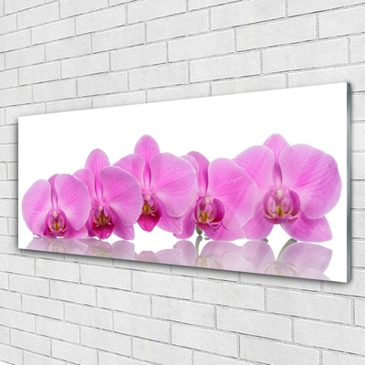 Quadro in vetro Fiori di orchidea rosa