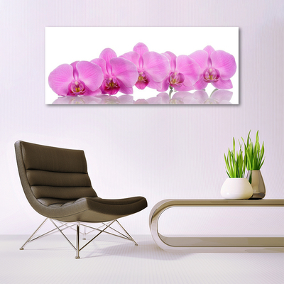 Quadro in vetro Fiori di orchidea rosa