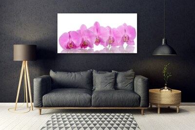 Quadro in vetro Fiori di orchidea rosa