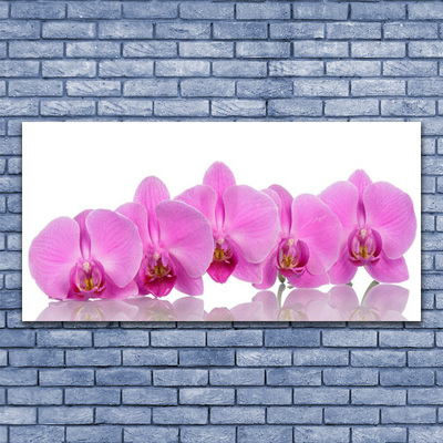 Quadro in vetro Fiori di orchidea rosa