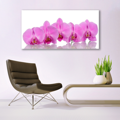 Quadro in vetro Fiori di orchidea rosa