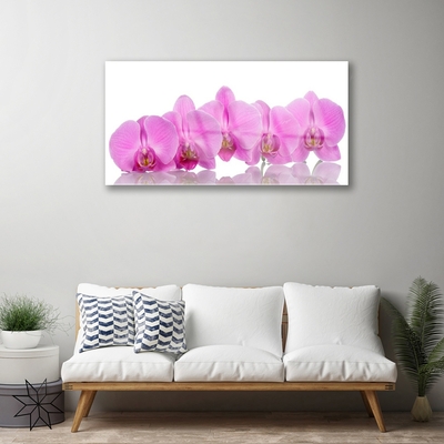 Quadro in vetro Fiori di orchidea rosa