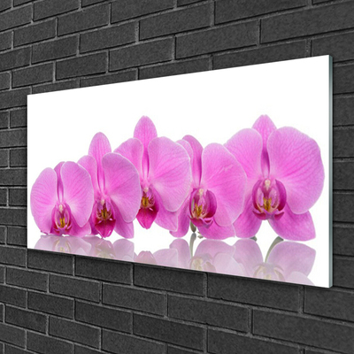 Quadro in vetro Fiori di orchidea rosa