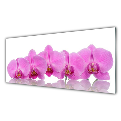 Quadro in vetro Fiori di orchidea rosa