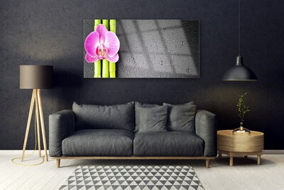 Quadro vetro Fiori di orchidea di bambù