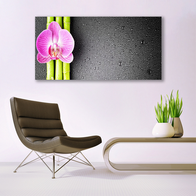 Quadro vetro Fiori di orchidea di bambù