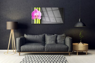 Quadro vetro Fiori di orchidea di bambù