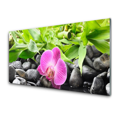 Quadro vetro Fiori Pianta di orchidea