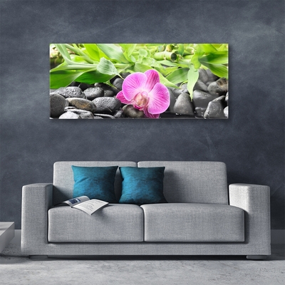 Quadro vetro Fiori Pianta di orchidea