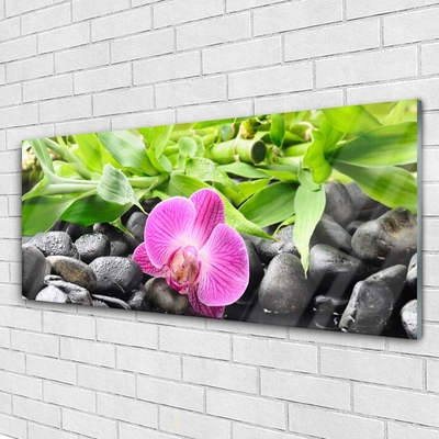 Quadro vetro Fiori Pianta di orchidea