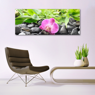 Quadro vetro Fiori Pianta di orchidea