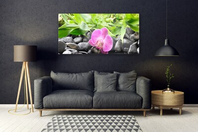 Quadro vetro Fiori Pianta di orchidea