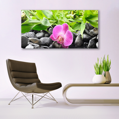 Quadro vetro Fiori Pianta di orchidea