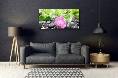 Quadro vetro Fiori Pianta di orchidea