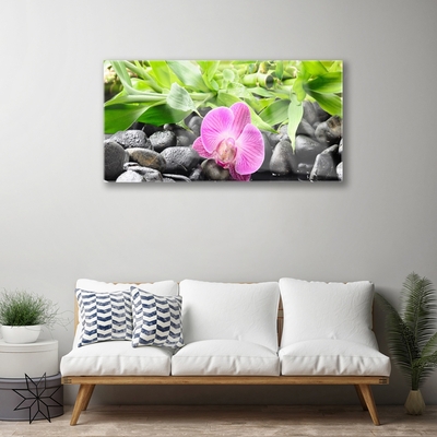 Quadro vetro Fiori Pianta di orchidea