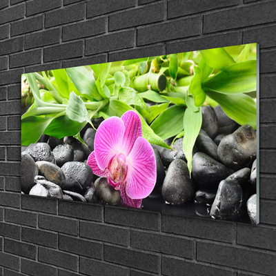 Quadro vetro Fiori Pianta di orchidea