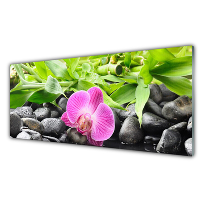 Quadro vetro Fiori Pianta di orchidea