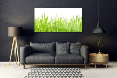 Quadro in vetro Erba Natura Pianta