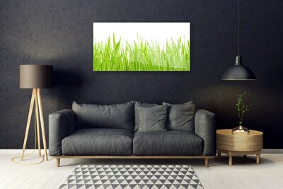 Quadro in vetro Erba Natura Pianta