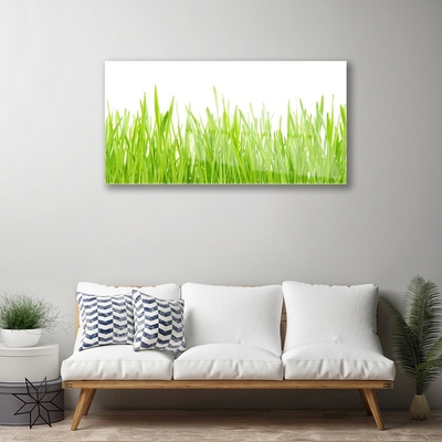 Quadro in vetro Erba Natura Pianta