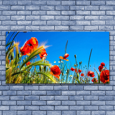 Quadro in vetro Fiori Papaveri Campo di erba