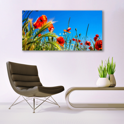 Quadro in vetro Fiori Papaveri Campo di erba