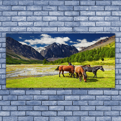 Quadro in vetro Montagne Alberi Cavalli Animali