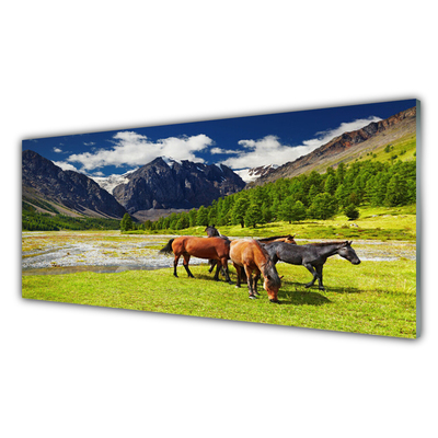 Quadro in vetro Montagne Alberi Cavalli Animali
