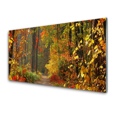 Quadro su vetro Foresta Natura Autunno