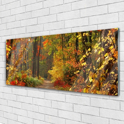 Quadro su vetro Foresta Natura Autunno